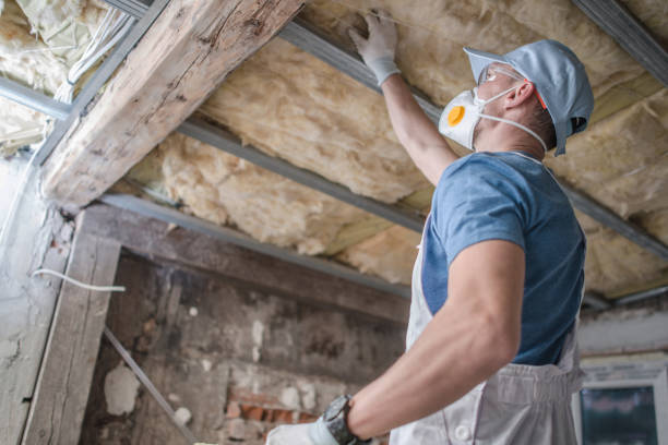 Best Residential Insulation in Bridgeport, MI