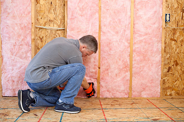 Best Insulation Maintenance and Repair in Bridgeport, MI