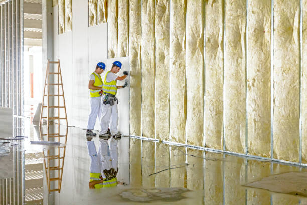 Best Insulation Materials and Products in Bridgeport, MI